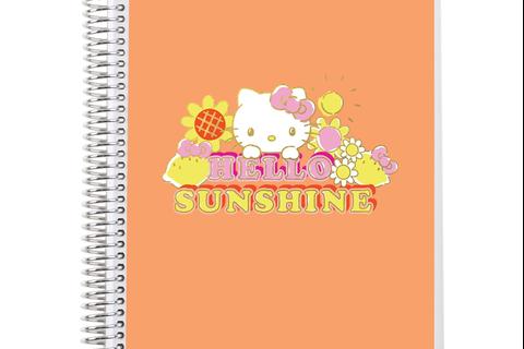 Hello Kitty x Erin Condren Spiral Notebook (Hello Sunshine)