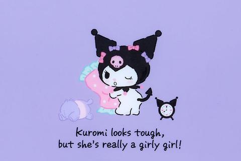 1686-kuromi-multi-pocket-file-folder-1.jpg