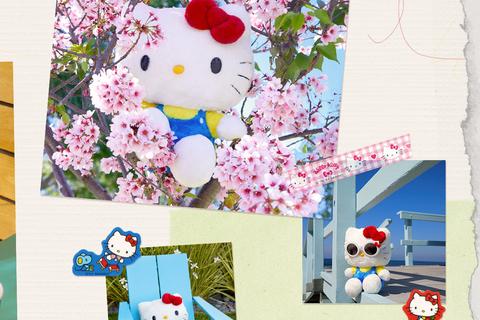 2-hello-kitty-10-plush-classic-series–1.png