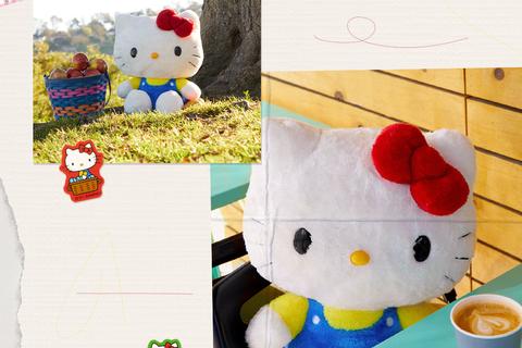 2-hello-kitty-10-plush-classic-series–1.png