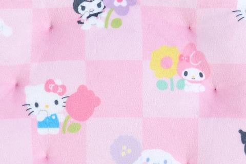 3847-sanrio-characters-daisy-throw-pillow-pastel-check-series–1.jpg