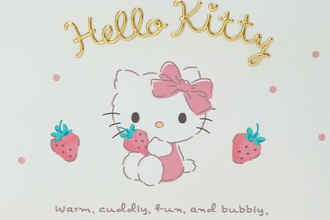 3931-hello-kitty-crescent-zipper-pouch-1.jpg