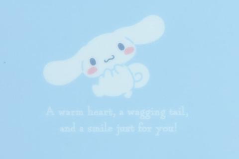 3945-cinnamoroll-expressions-3-pc-clear-file-folder-set-1.jpg