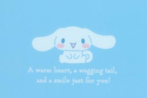 3945-cinnamoroll-expressions-3-pc-clear-file-folder-set-1.jpg