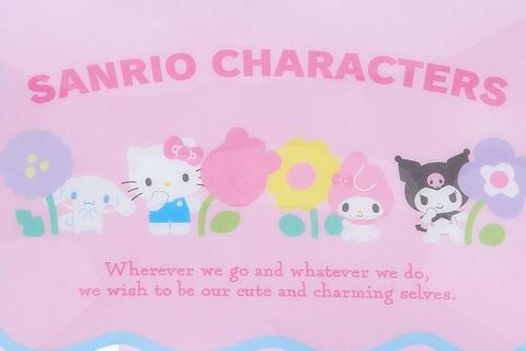 4031-sanrio-characters-clear-zipper-pouch-pastel-check-series–1.jpg