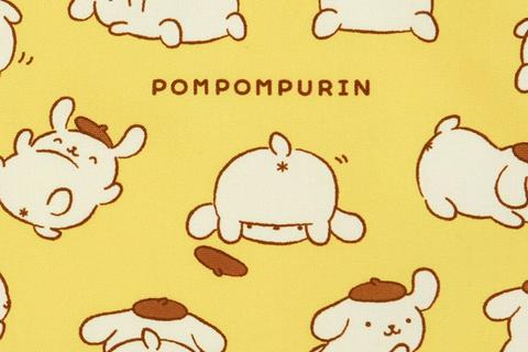 4210-pompompurin-2-pc-zipper-pouch-set-oshiri-puri-puri-purin-series–1.jpg