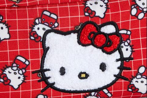 4751-hello-kitty-pencil-case-ruby-red-series–1.jpg