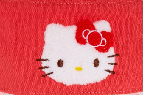 5181-hello-kitty-chenille-gingham-zipper-pouch-1.jpg