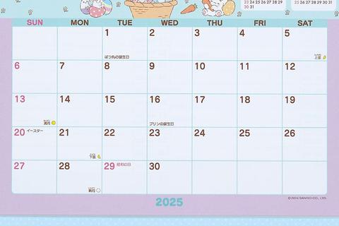 6254-sanrio-characters-2025-desk-calendar-1.jpg