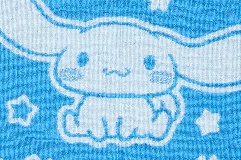 6309-cinnamoroll-mini-cotton-bath-mat-1.jpg