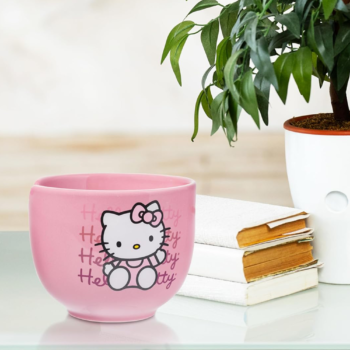 Hello Kitty Ceramic Ramen Bowl and Chopstick Set (Pink Wave)