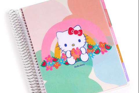 7091-hello-kitty-and-friends-x-erin-condren-rainbow-relaxation-2025-lifeplanner-1.jpg