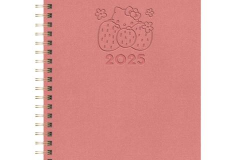 Hello Kitty x Studio Oh! 2025 Desert Adventure Baxter Planner